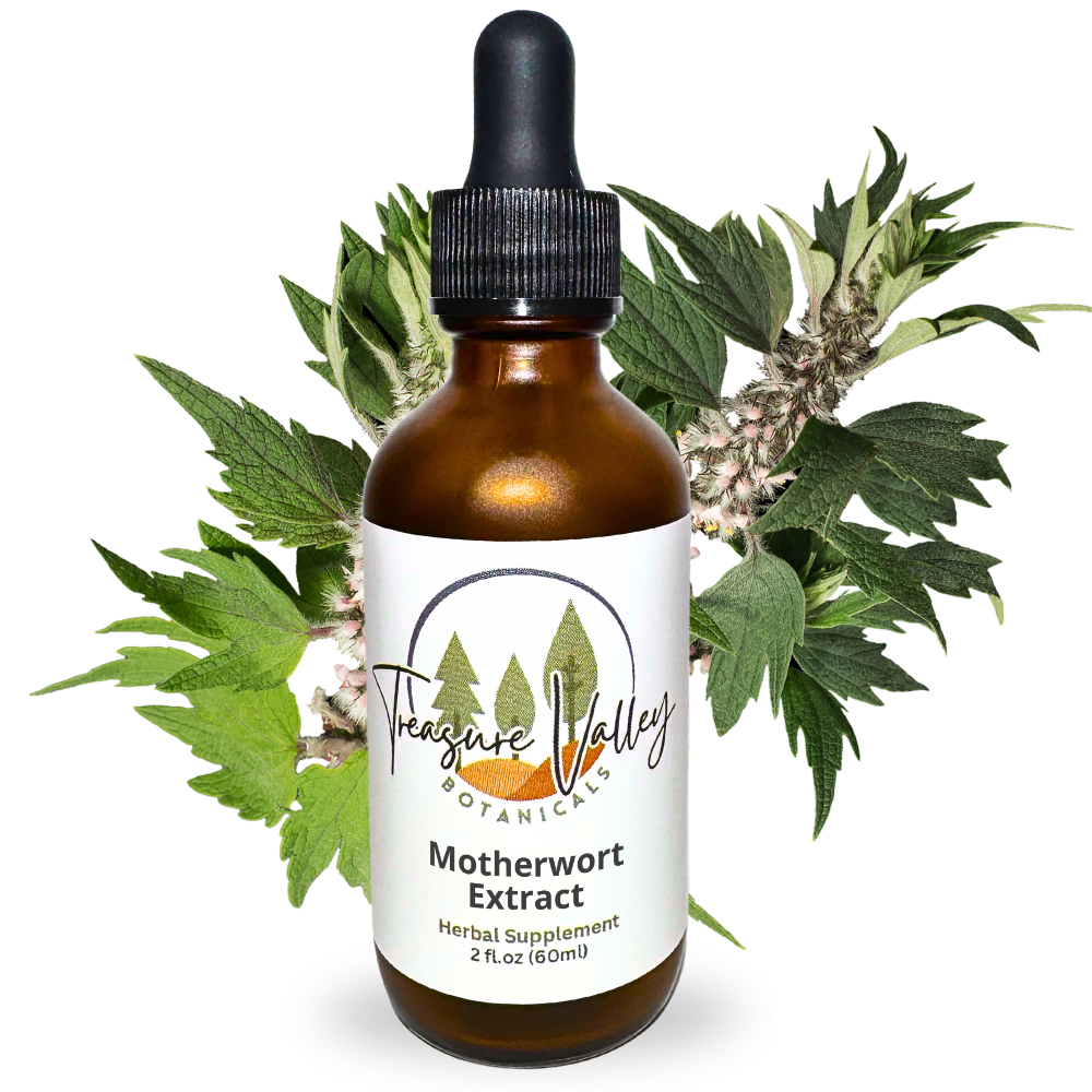 TINC_Motherwort.png