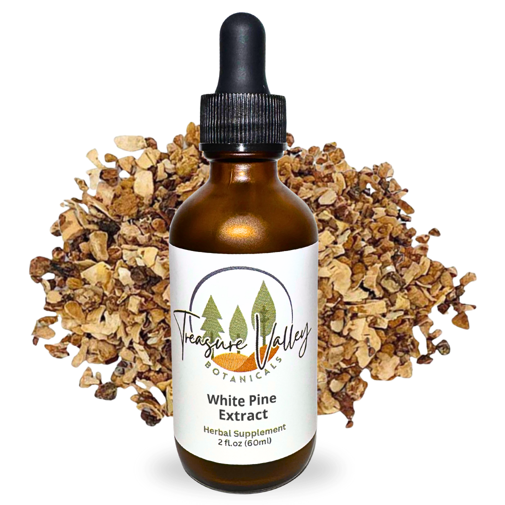 White Pine Bark Liquid Extract Herbal Tincture - 2 fl oz (60ml)
