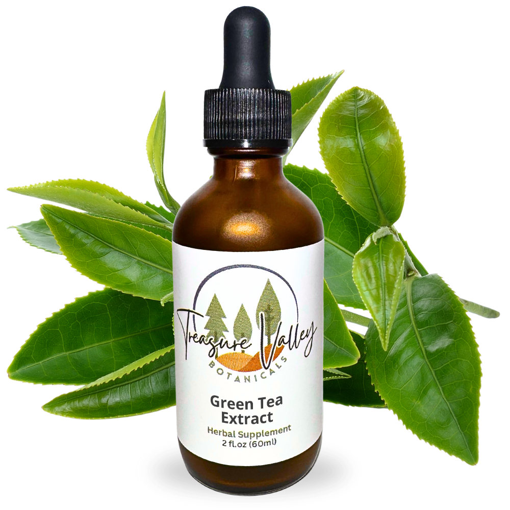 Green Tea Liquid Extract Herbal Tincture - 2 fl oz (60ml)