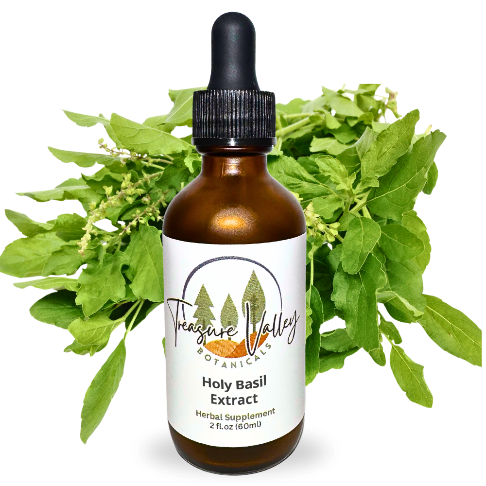 Holy Basil Liquid Extract Herbal Tincture - 2 fl oz (60ml)