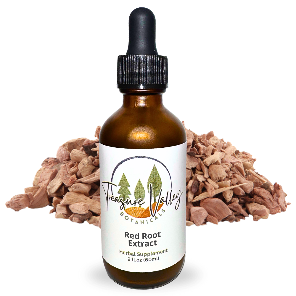 Red Root Liquid Extract Herbal Tincture - 2 fl oz (60ml)