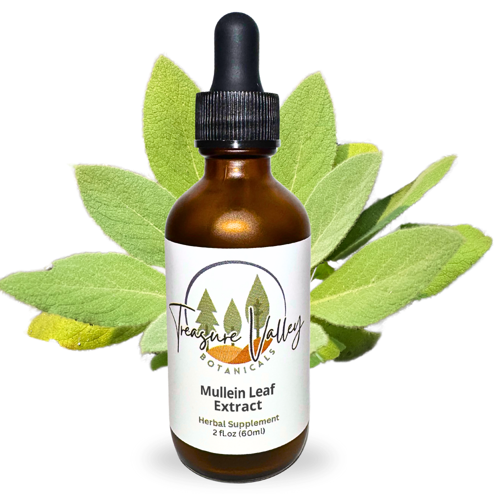 Mullein Leaf Liquid Extract Herbal Tincture - 2 fl oz (60ml)