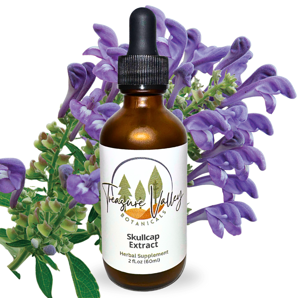 Skullcap Liquid Extract Herbal Tincture - 2 fl oz (60ml)