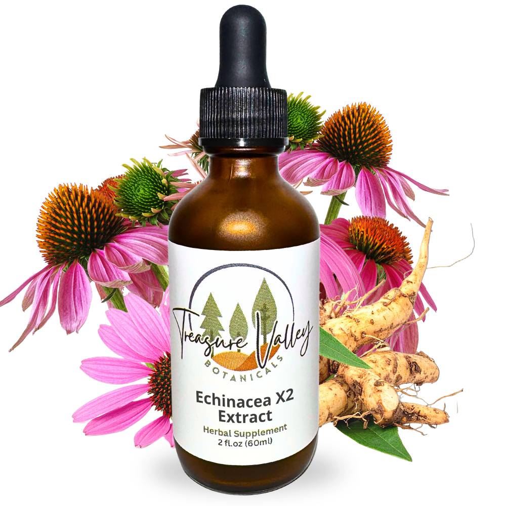 TINC_Echinacea_X2.png