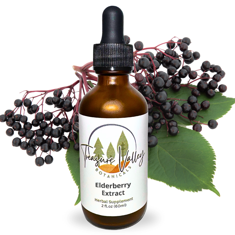 Elderberry Liquid Extract Herbal Tincture - 2 fl oz (60ml)