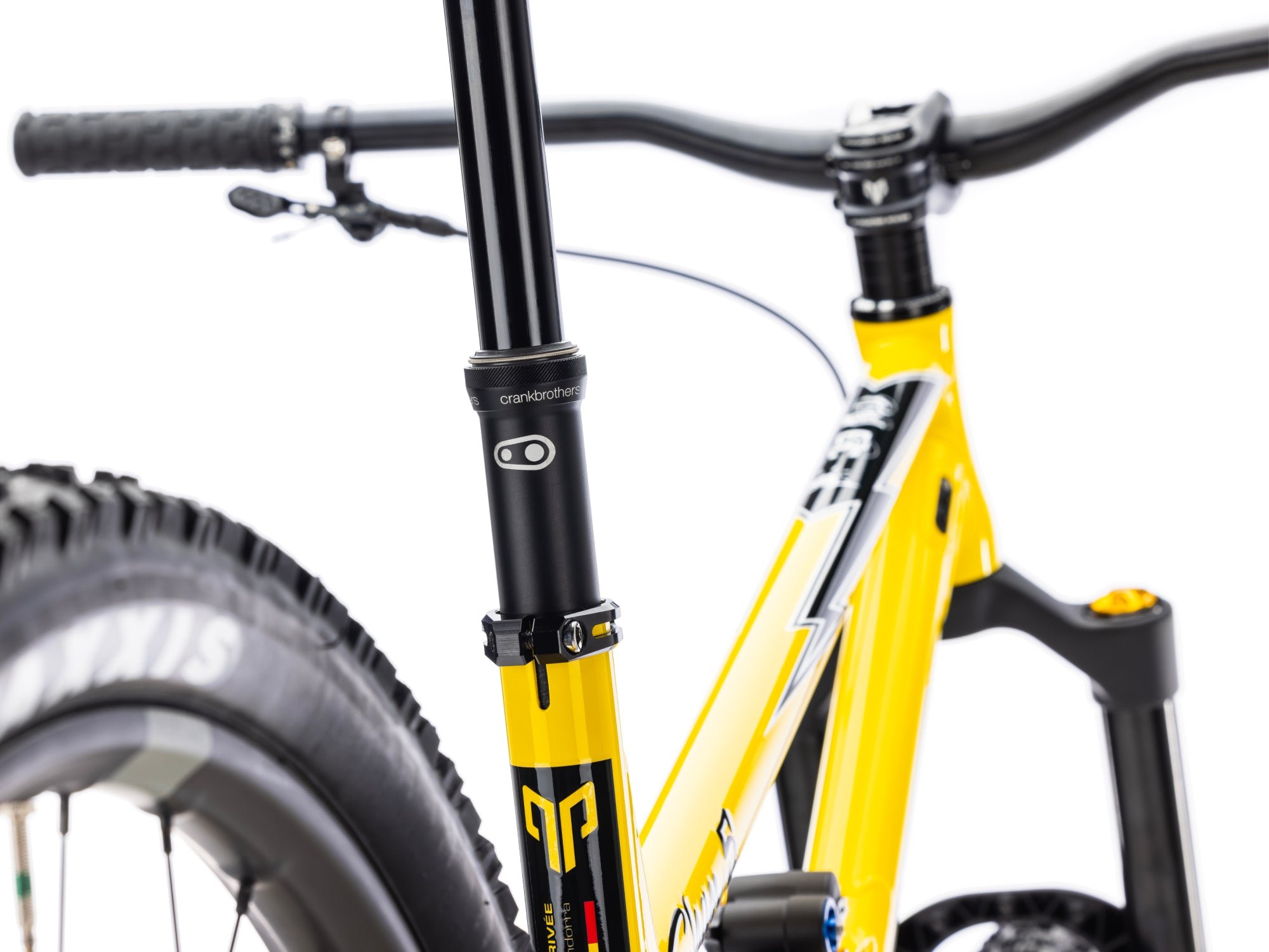 shan_n5_rolling_yellow_2023-5.jpg