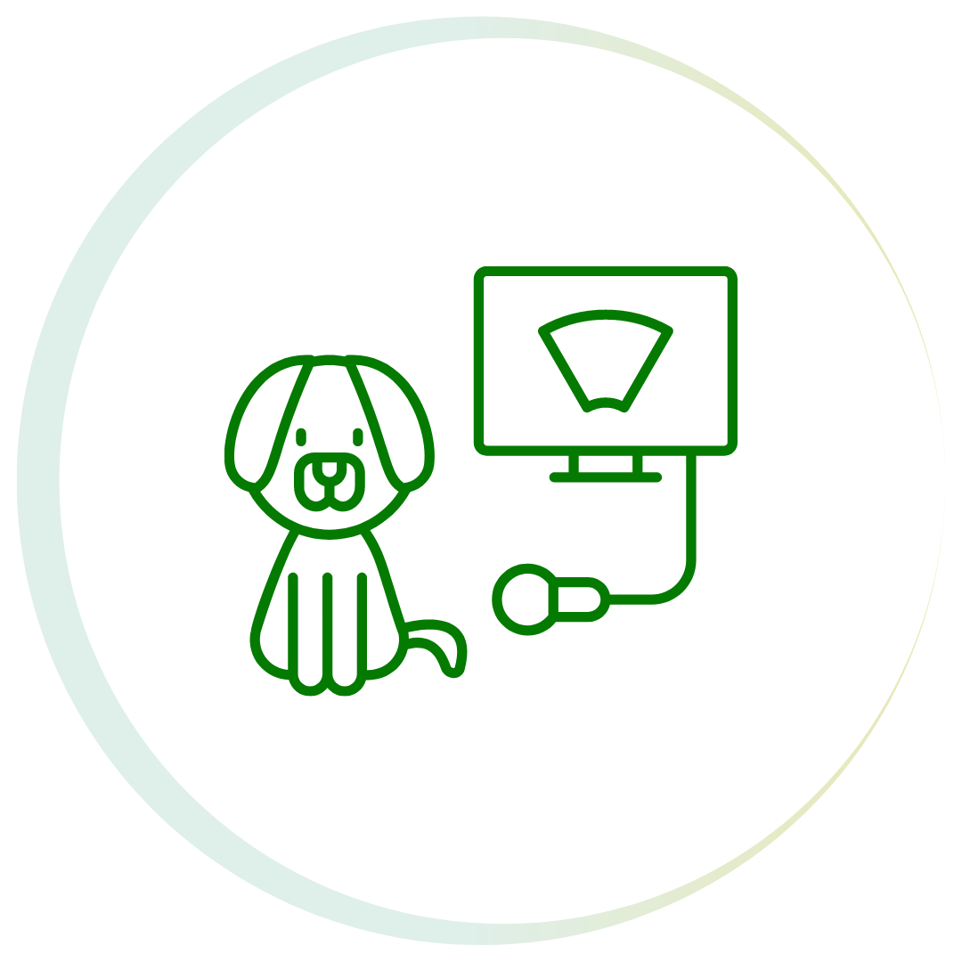 Webinar: Point-of-Care Ultrasound for Pet Care Exam with Dr. Jessica Larson, DVM, DACVIM