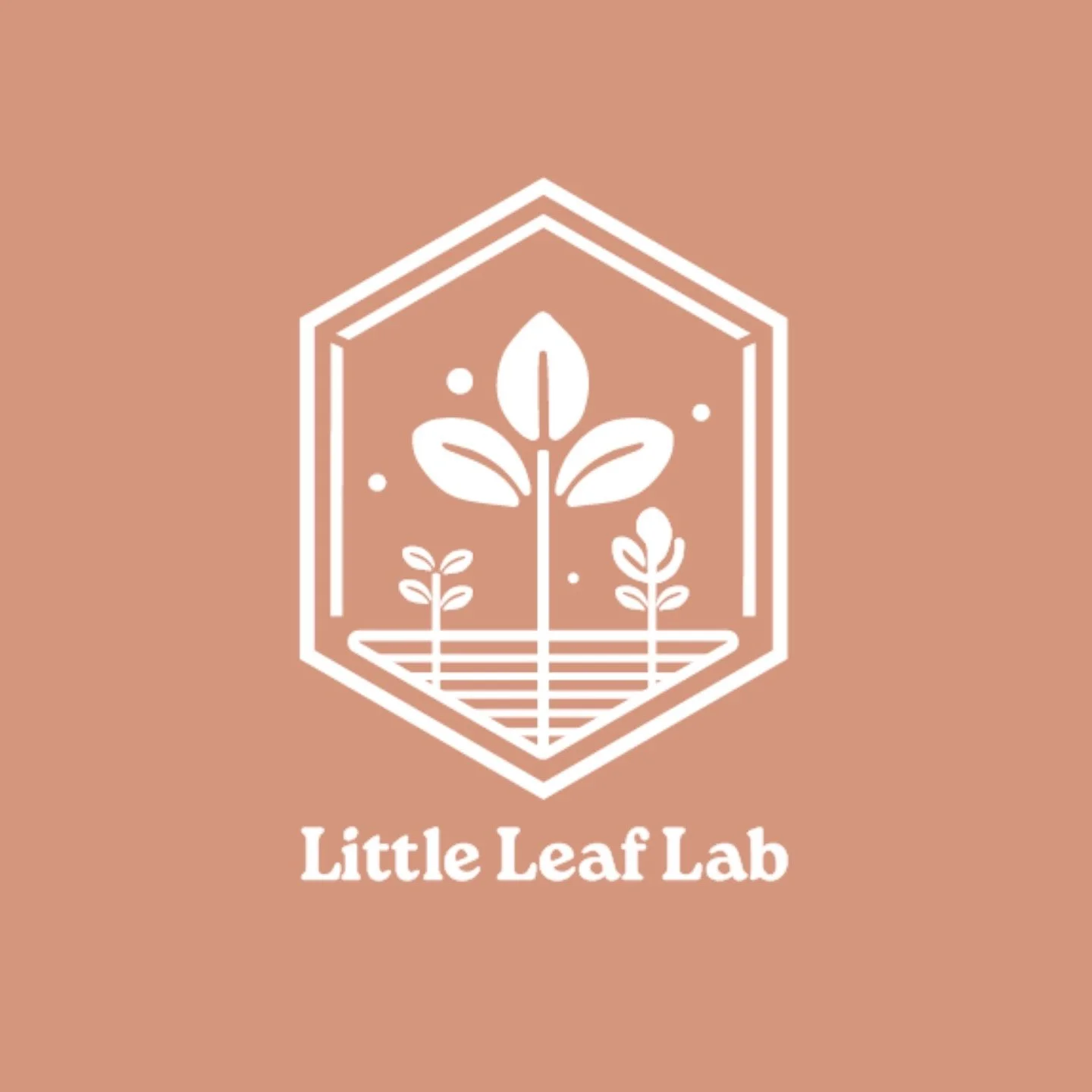 Welcome to Little Leaf Lab! 🌱

We&rsquo;re Jeremy &amp; Jerika and Justin &amp; Esther&mdash; the people behind the greens! What started out of a love for good food and an interest in sustainable living, has become a mission to bring fresh, vibrant,