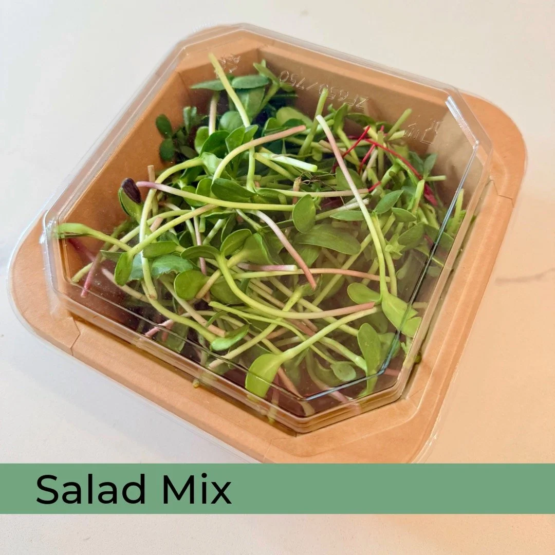 Calling all who love fresh food! Our first Friday Green Scene is here! Every Friday, we&rsquo;re harvesting our freshest, tastiest, most nutritious greens. From spicy to sweet, we&rsquo;ve got you covered. 

This week&rsquo;s microgreen lineup:
🌿Spi