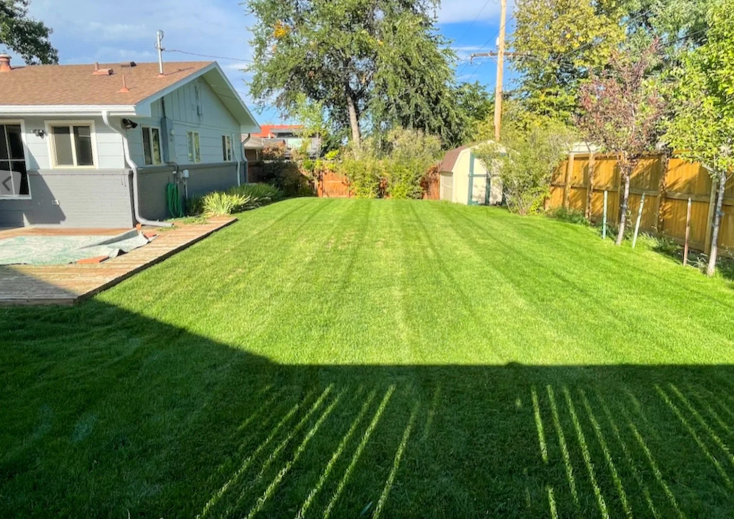 Screen Shot 2025-02-26 at 1.04.26 PM.jpg