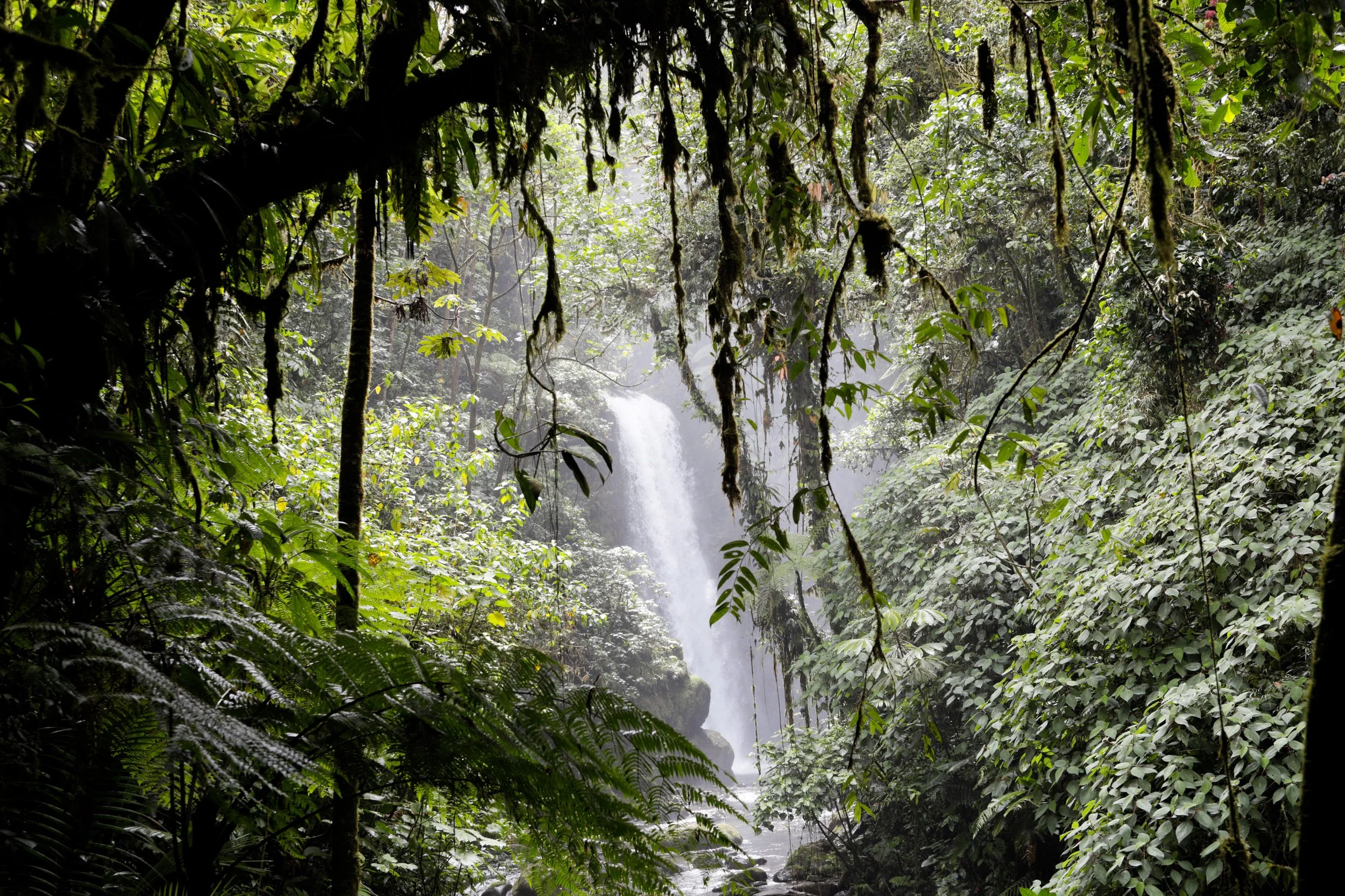 waterfall.jpg
