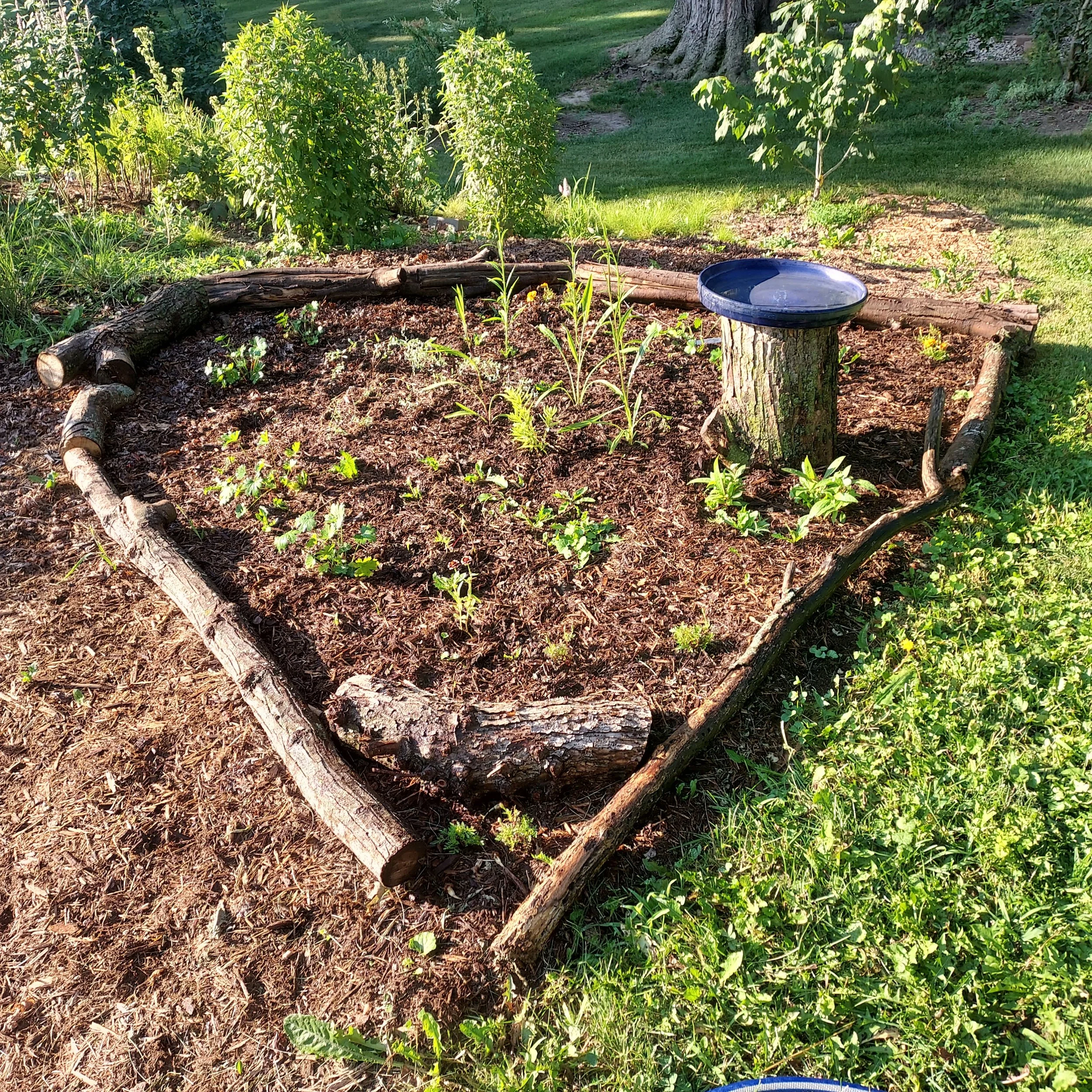 Pocket Garden