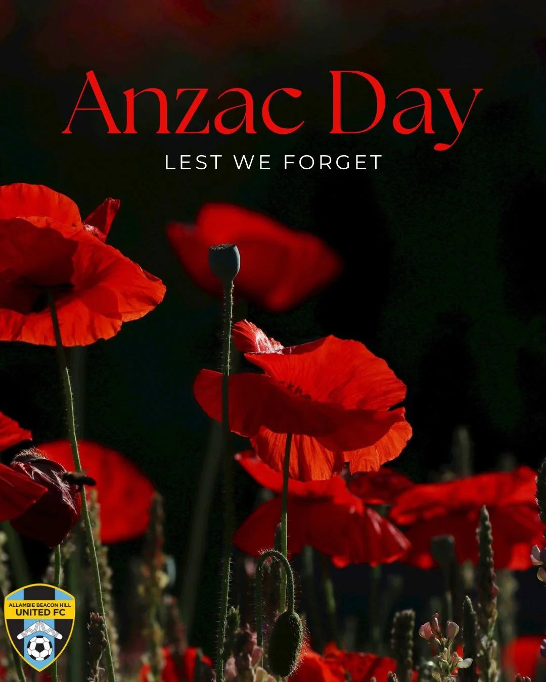 Today our club pauses.

On ANZAC Day, we take a moment to remember those who served and sacrificed for our community and our country.

No games will be played as we stand together in respect.

Lest we forget. 🌺