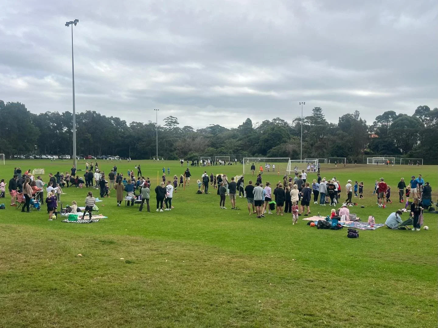 Big crowd at Millers on Sunday for a very special interclub clash in the U7s 💜🐝⚽

The Bluebirds took on the Bumblebees in a fun-filled game full of smiles, teamwork and plenty of cheering from the sidelines. Great to see so many families and suppor
