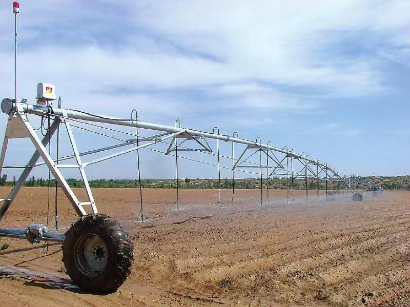 示范中心应用中国制造的中心支轴式喷灌机种植饲草料作物。图为喷灌机对刚刚进入苗期的苏丹草实施水肥一体化喷灌作业。  (2).jpg