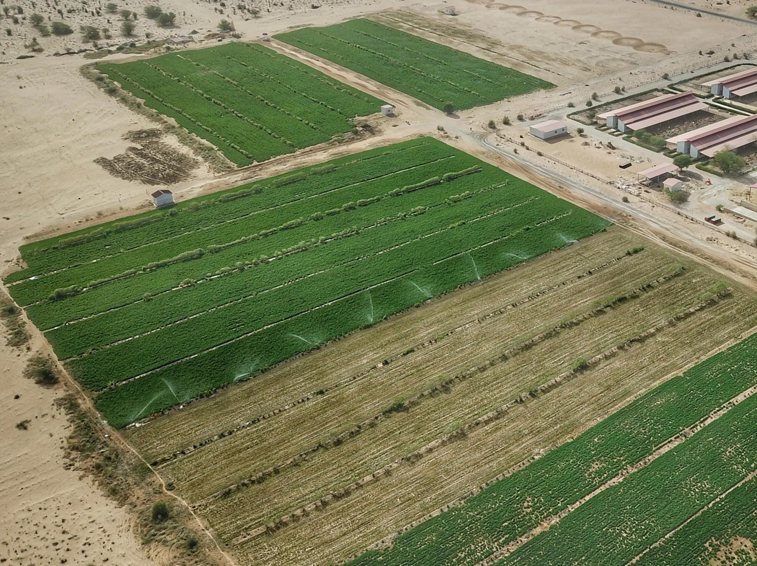 航拍照片 (1).jpg