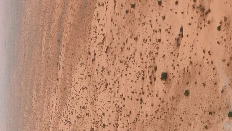 航拍照片 (3).png