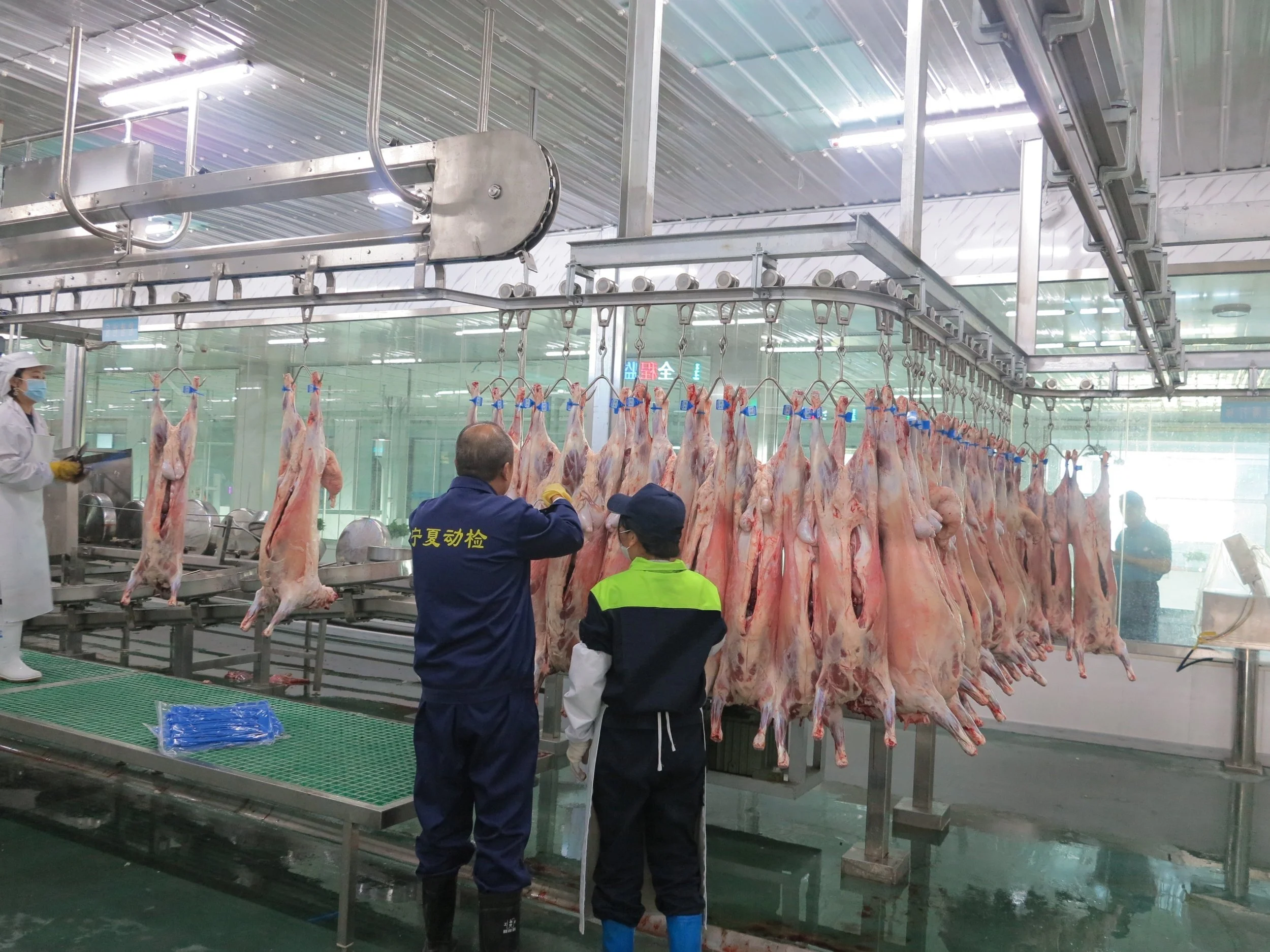 标准化屠宰线.jpg