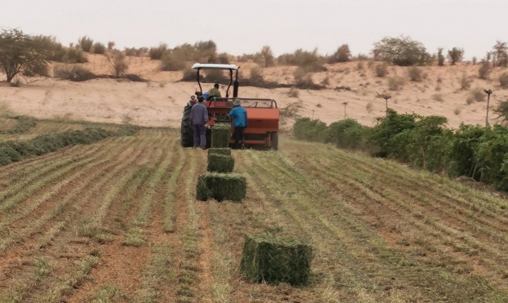 全流程农机化服务 (4).jpg