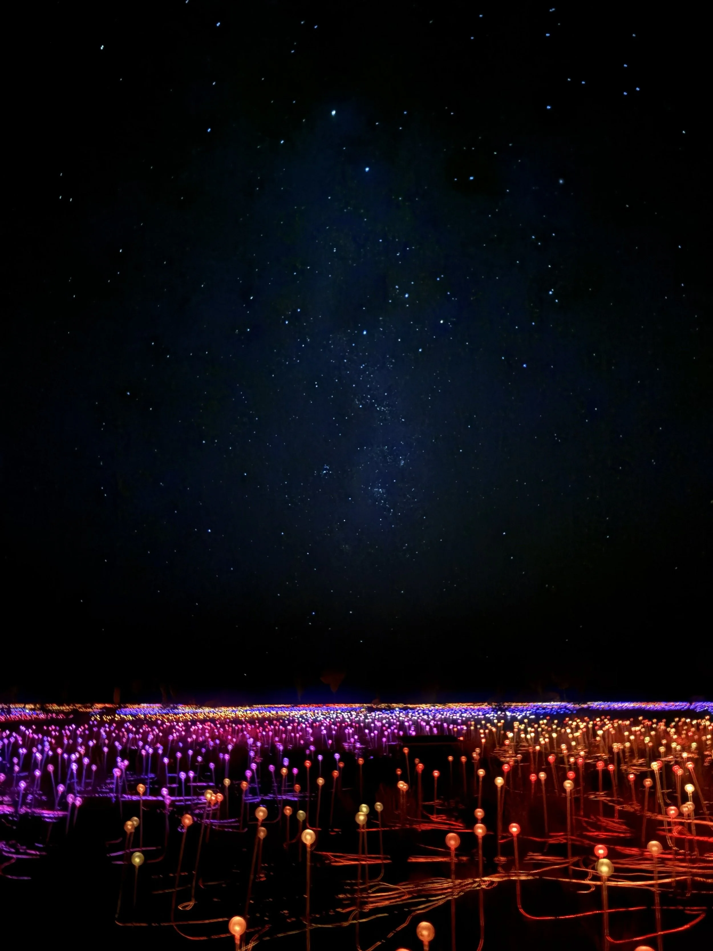 Field of Light, Uluru Kata Tjuta National Park