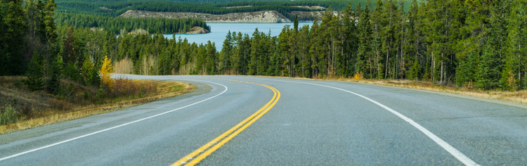 A winding two-lane road with yellow and white lines, surrounded by lush green trees and a distant lake visible in the background.