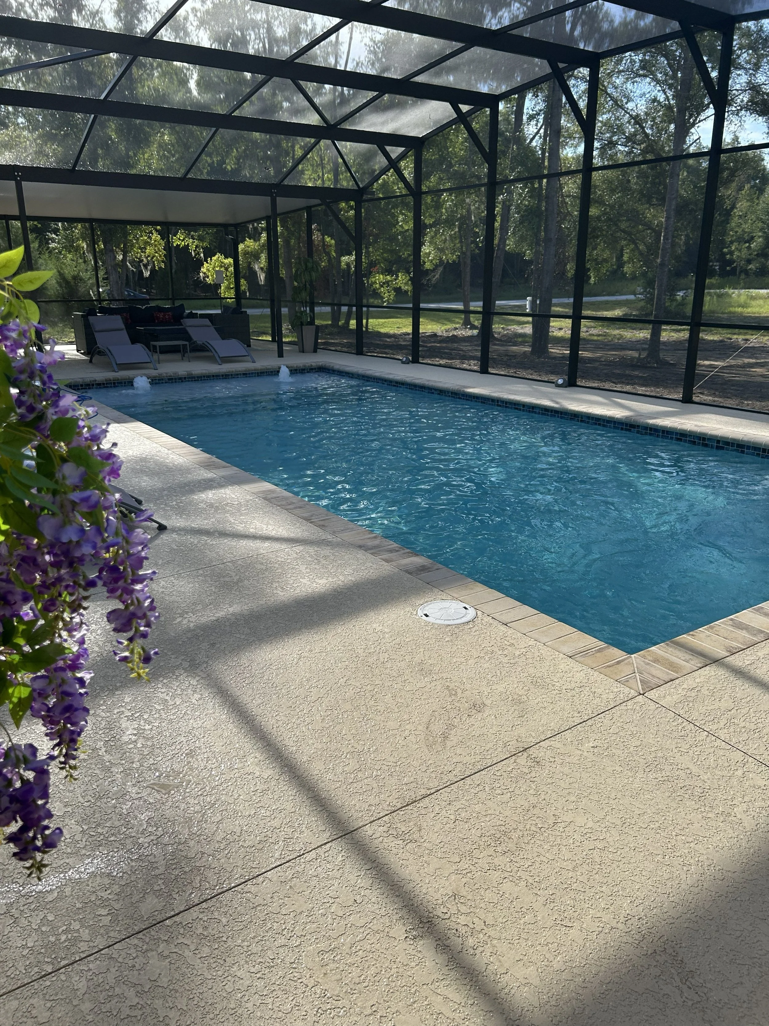 Residential backyard pool enclosed by screened structure with lounge chairs, potted plants, and purple flowers in the foreground, with trees and a road visible through the screens.
