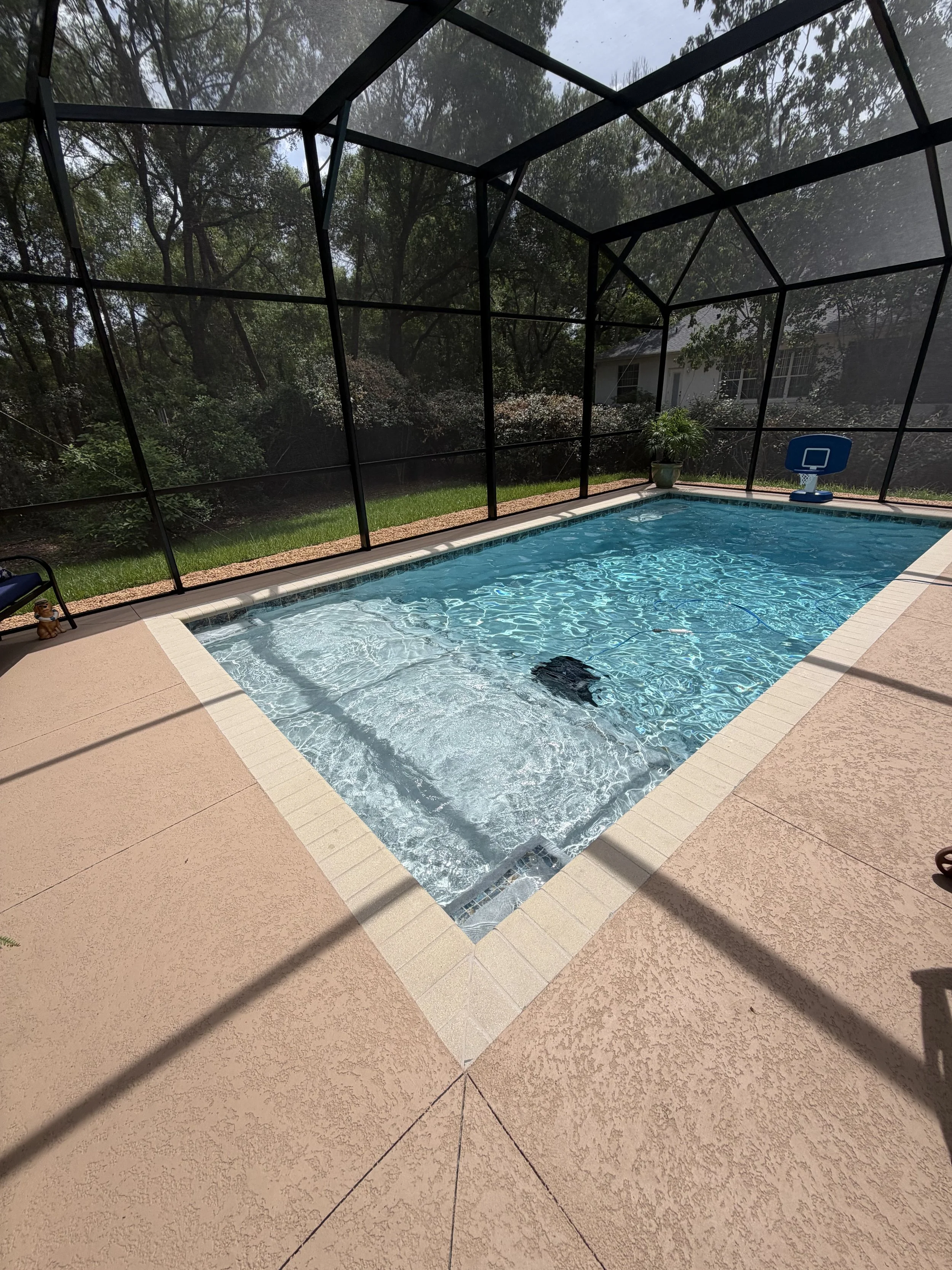 Un screened-in backyard swimming pool with blue water, surrounded by a beige concrete deck, with a potted plant and a small blue basketball hoop in the corner, overlookig a wooded backyard with trees and a house in the distance.