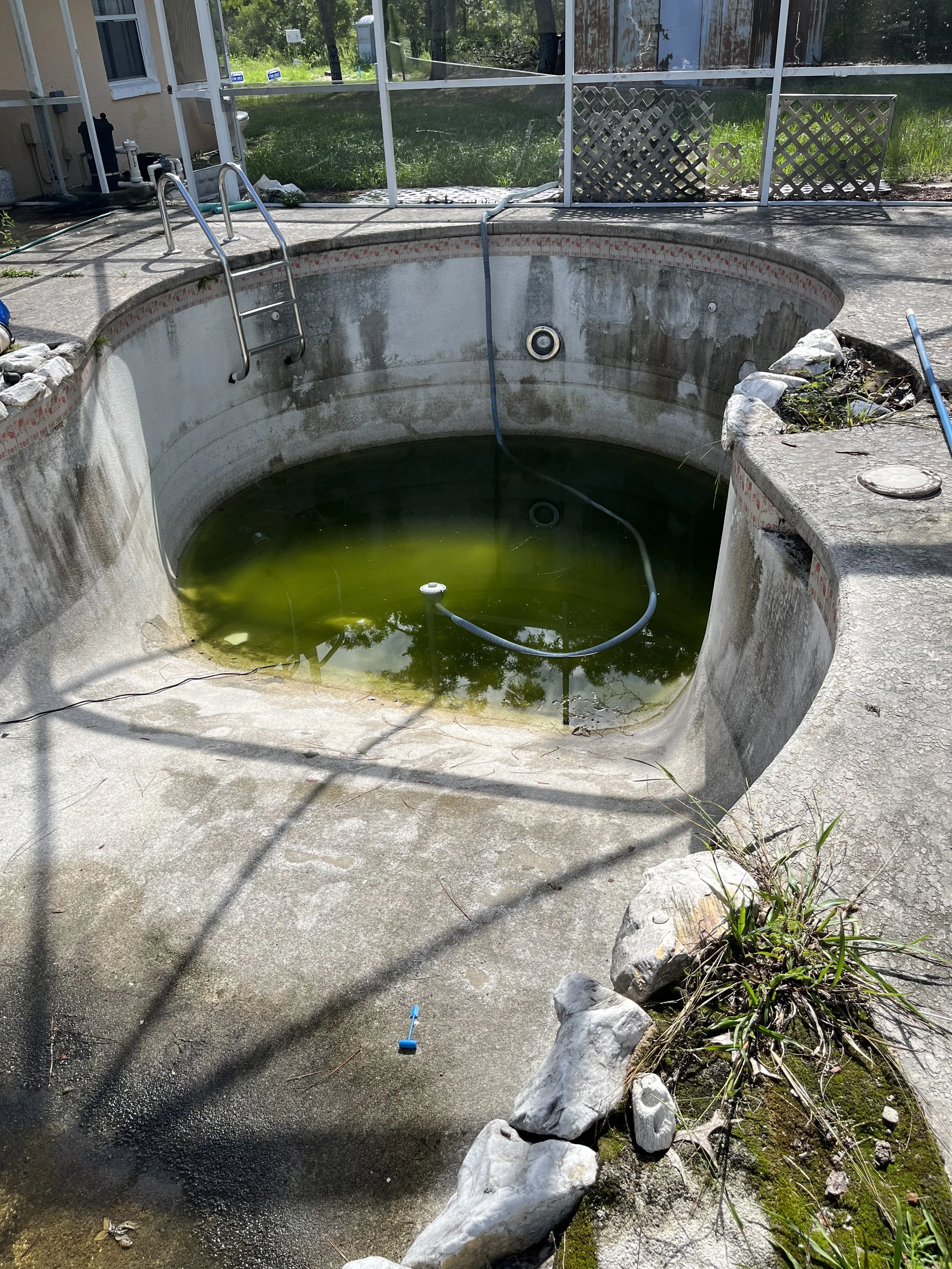 reno pool blue 1 before.jpg