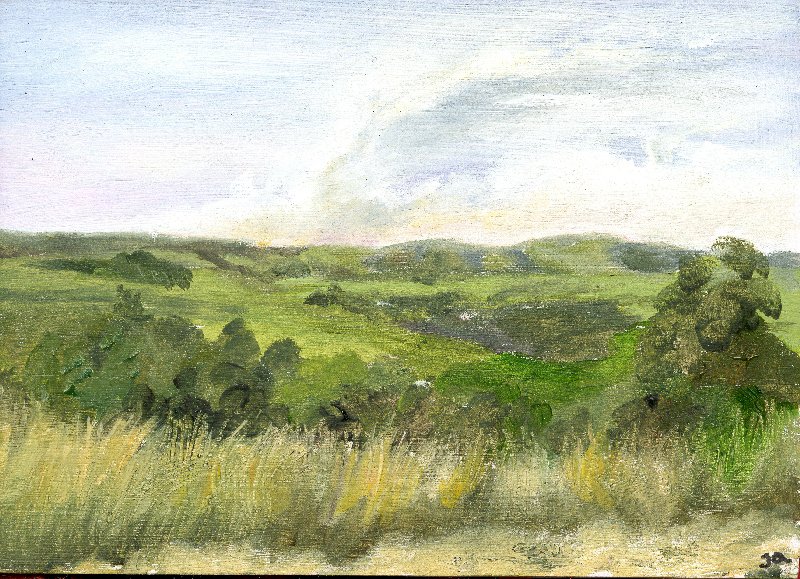 Gurdies Bushfire Web-.jpg