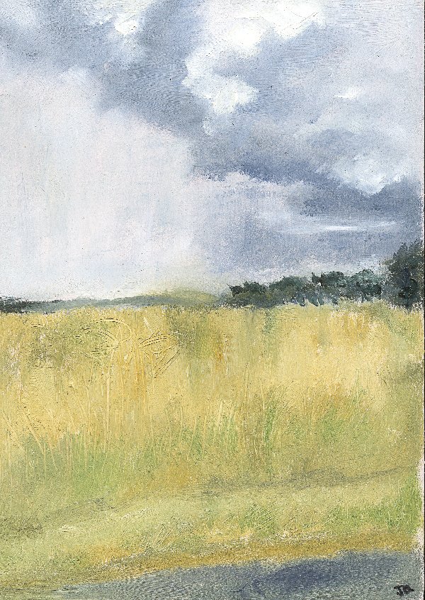 My Paddock