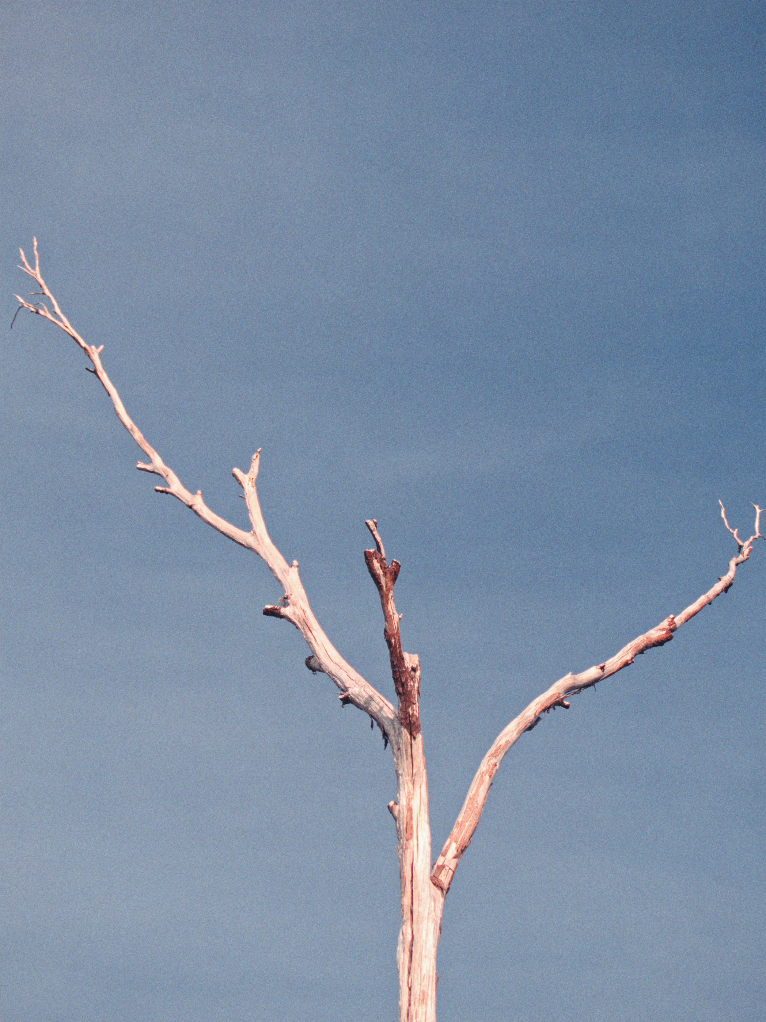FILMIC HIKE - 01.jpg