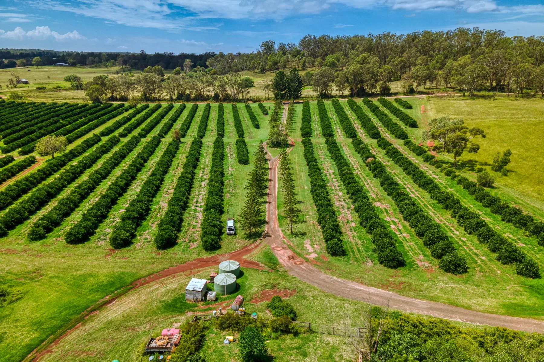 Manifest Kombucha-102.jpg