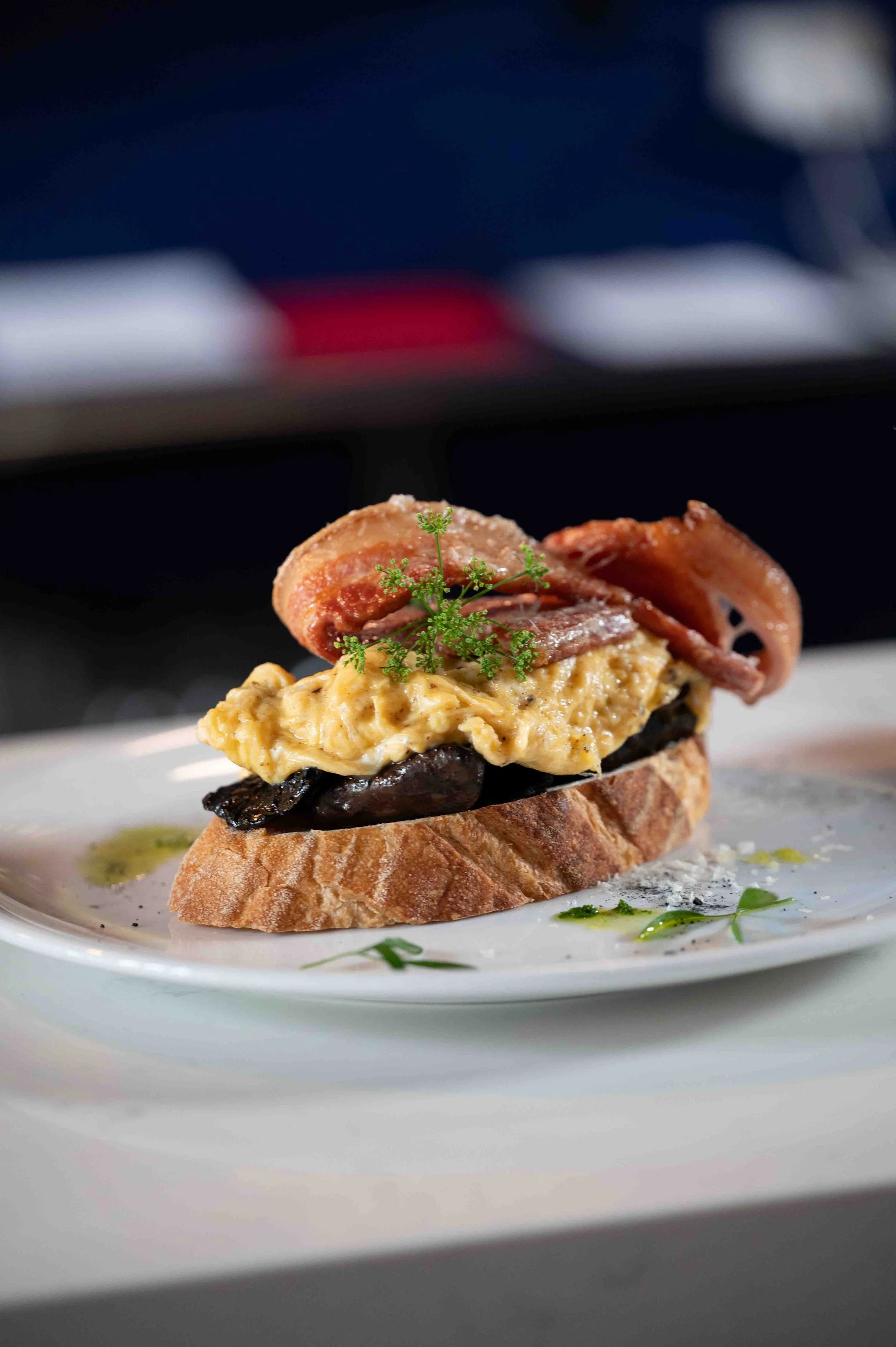 Myrtille Nov 2024-0117.JPG