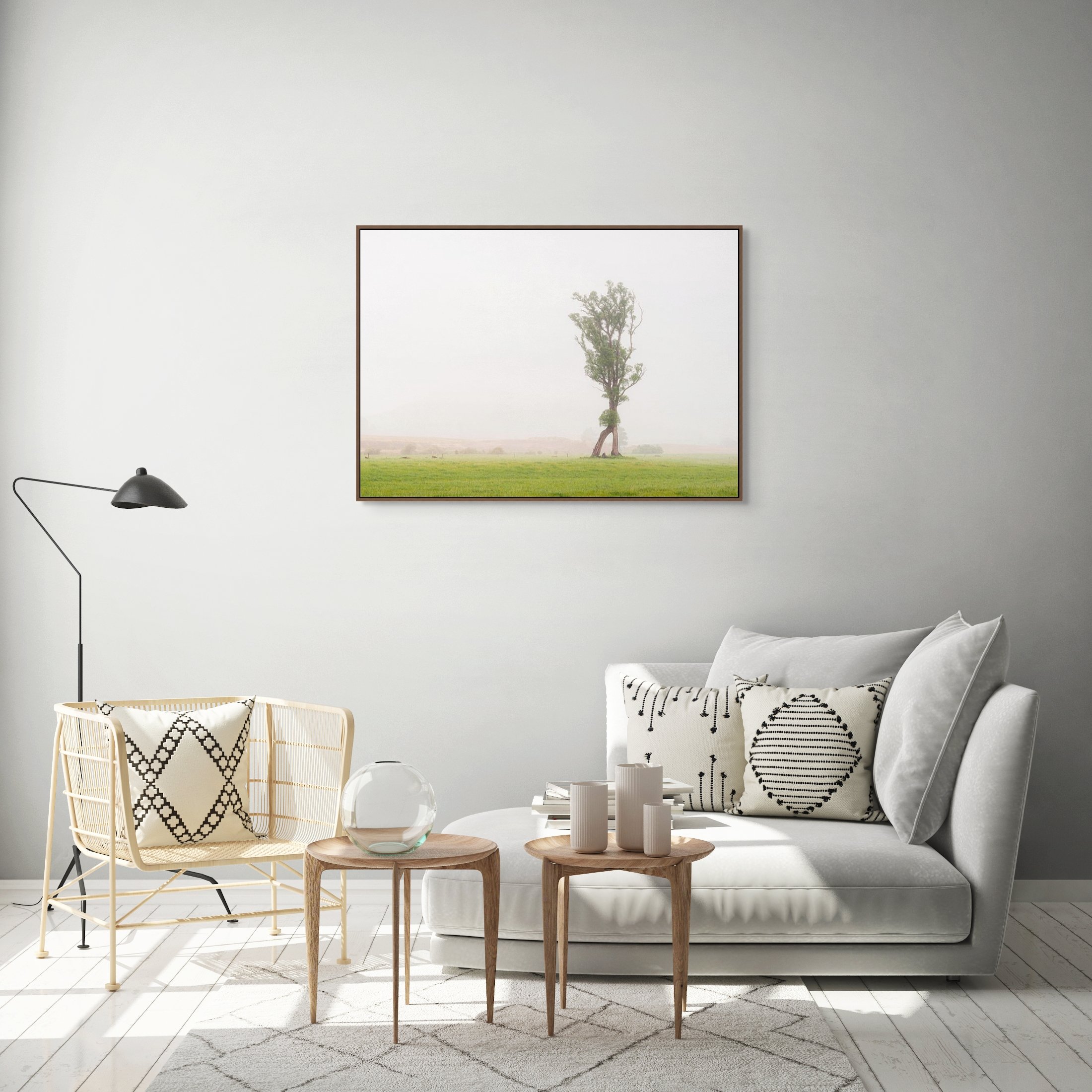 Lone tree standing in misty green pasture in Karamea on New Zealand’s West Coast.