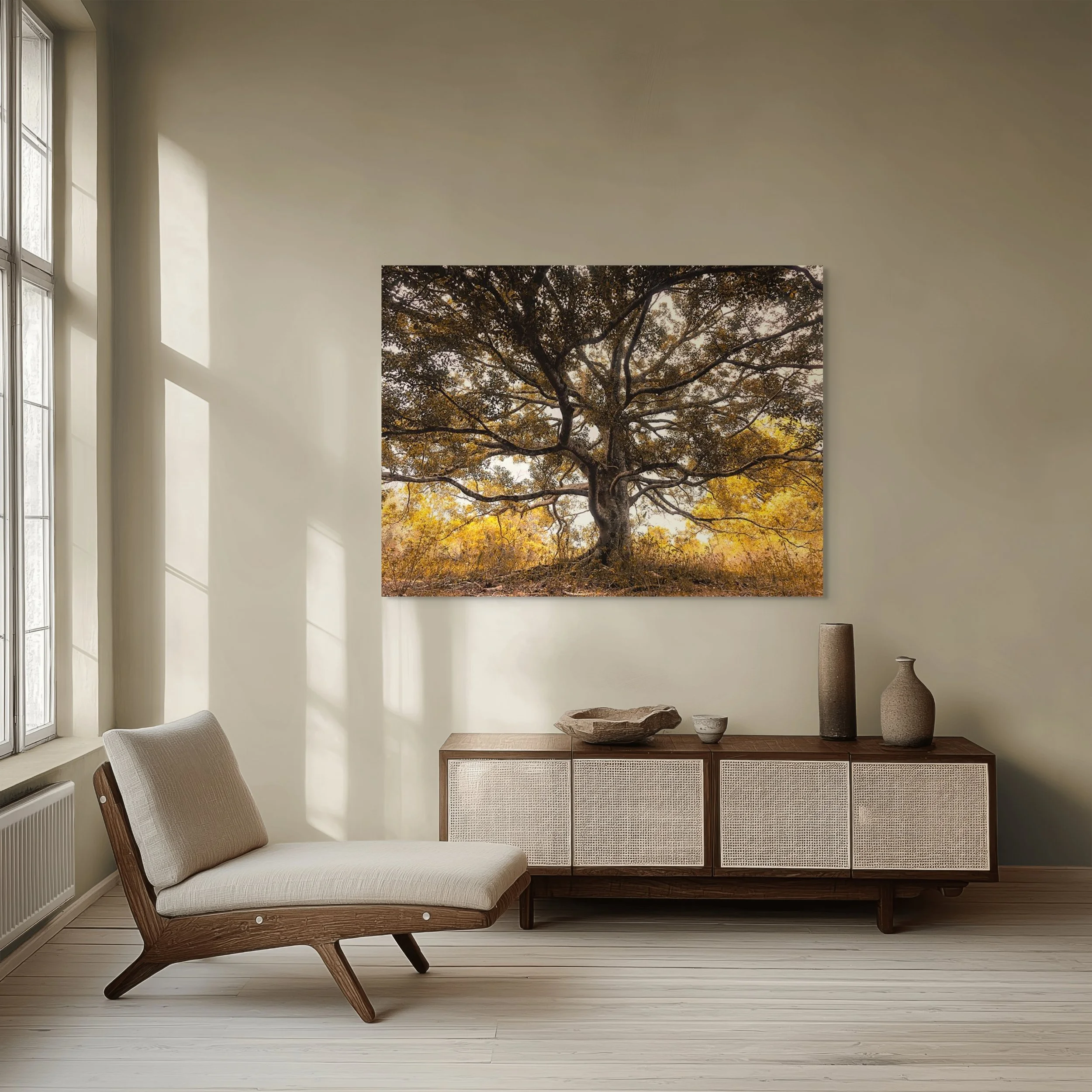 Large old tree with wide branches photographed from below in warm golden forest light.