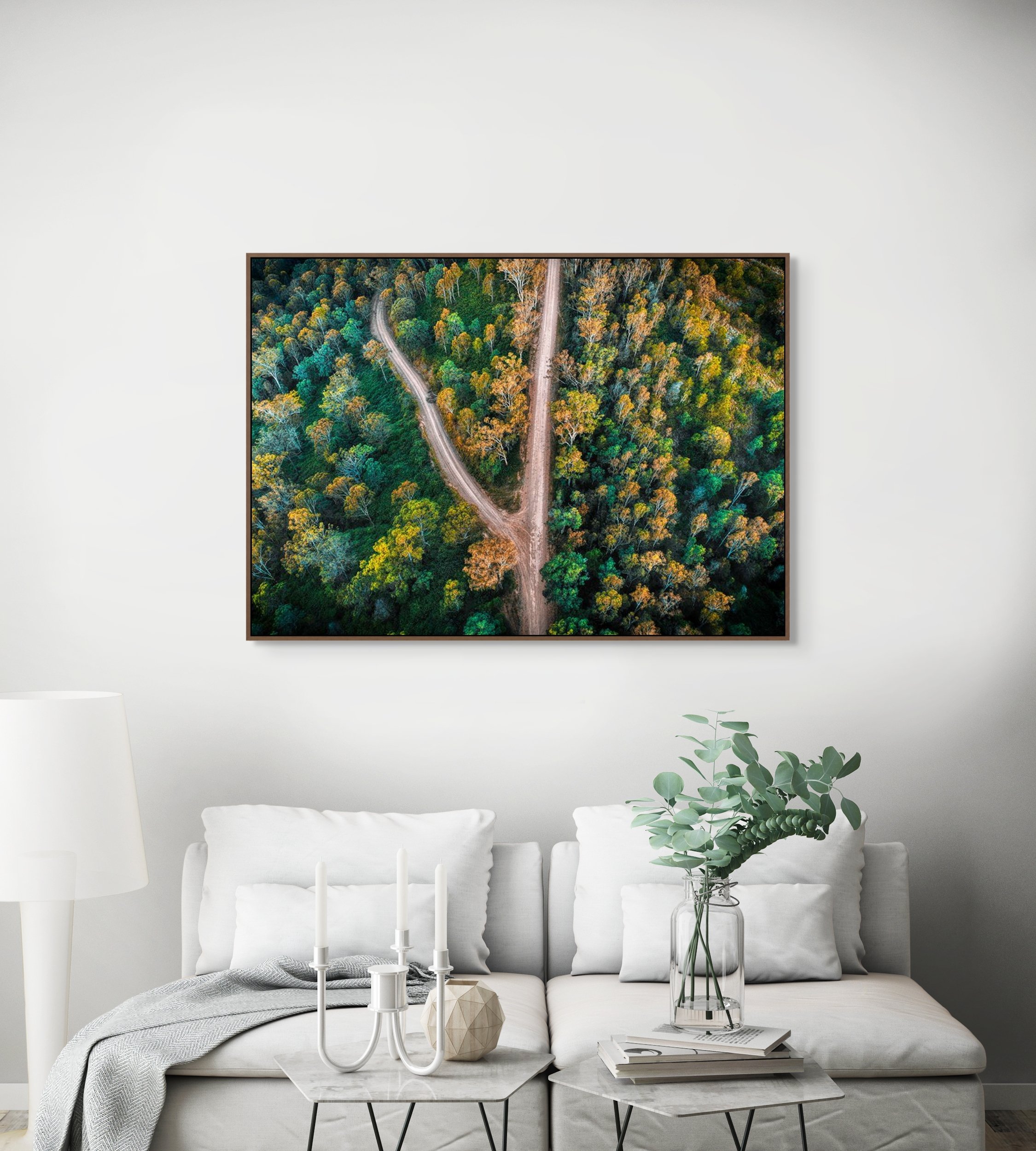 Aerial view of winding dirt roads crossing through green and golden forest trees.
