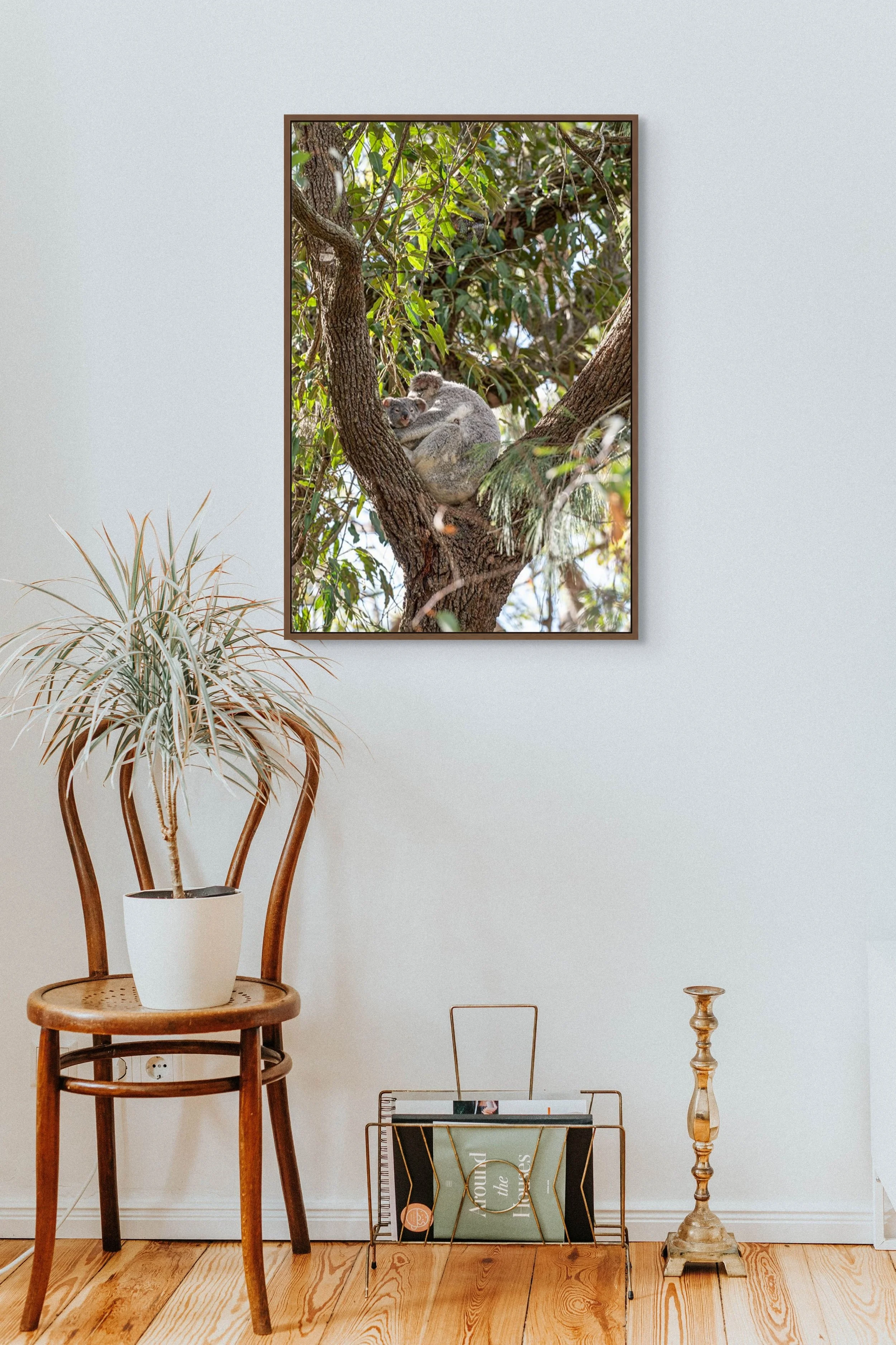 Mother koala holding baby joey in eucalyptus tree in wildlife photography.