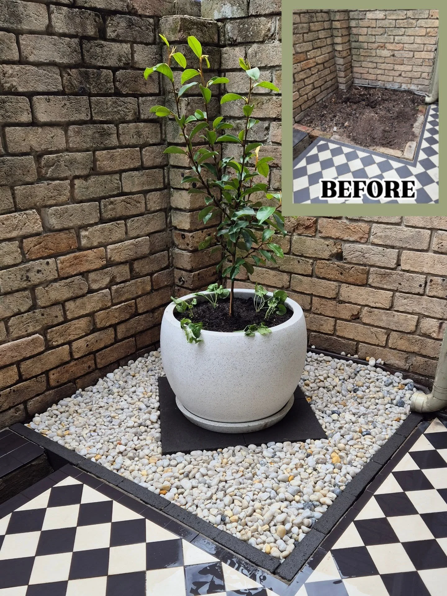 A bit of a different one for today! This will look amazing come springtime and suits the existing diamond patterned tiles perfectly. 

↖️ Look at the barren space we began with

📞 Contact us today for an obligation free quote for all your property m