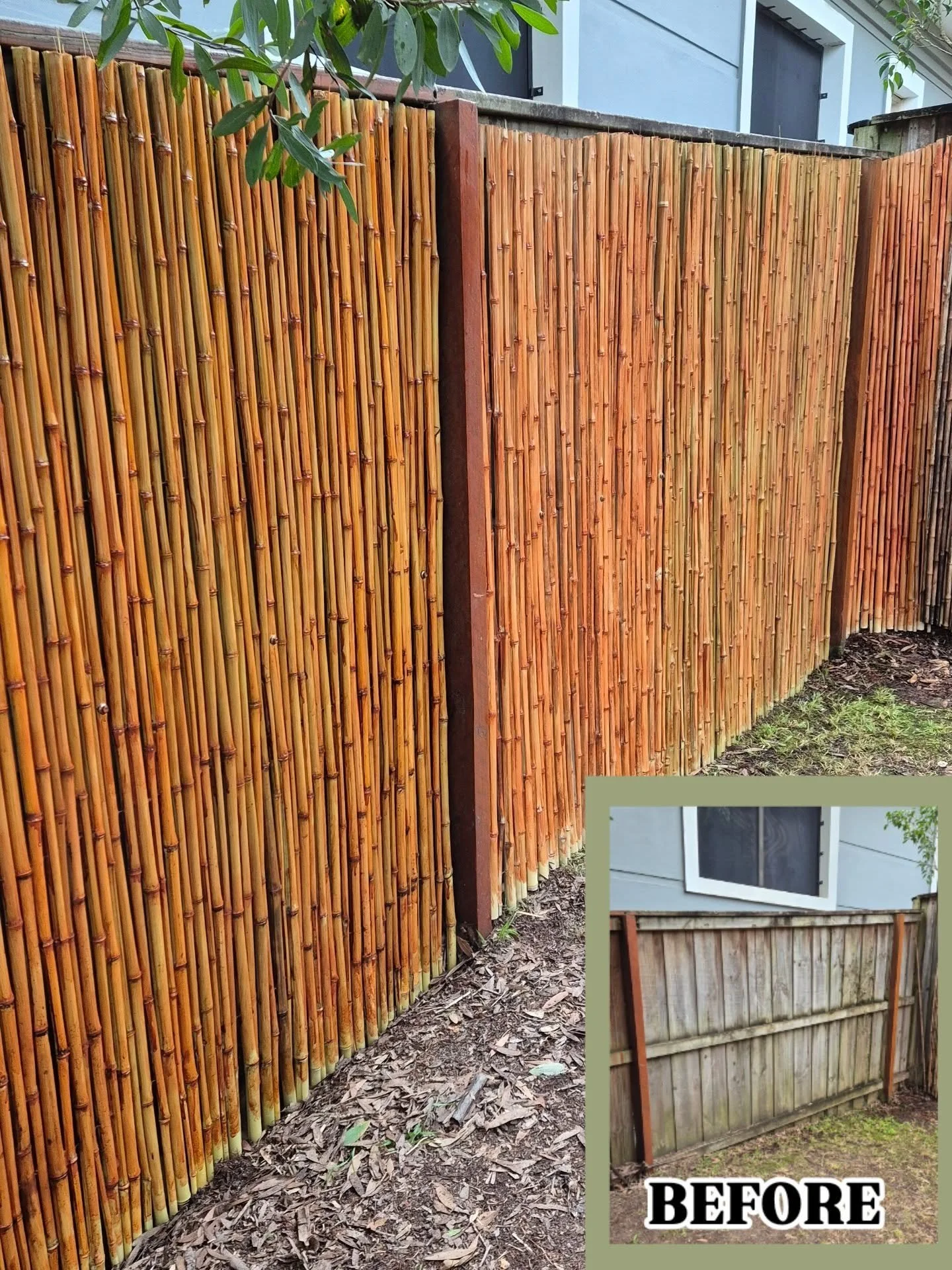 New screening for this old fence in #frenchsforest . A great way to hide and elevate a a backyard fence.

↘️ Look at the blank fence we had to begin with

📞 Contact us today for an obligation free quote for all your property maintenance needs 

#The