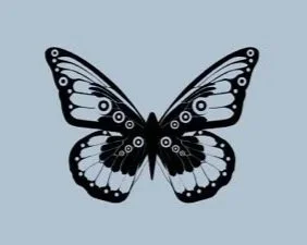 Living In The Quantum Flow: Week One