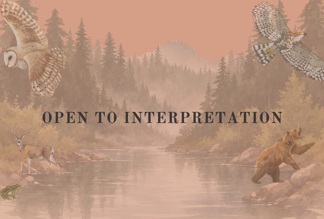 Open to Interpretation 