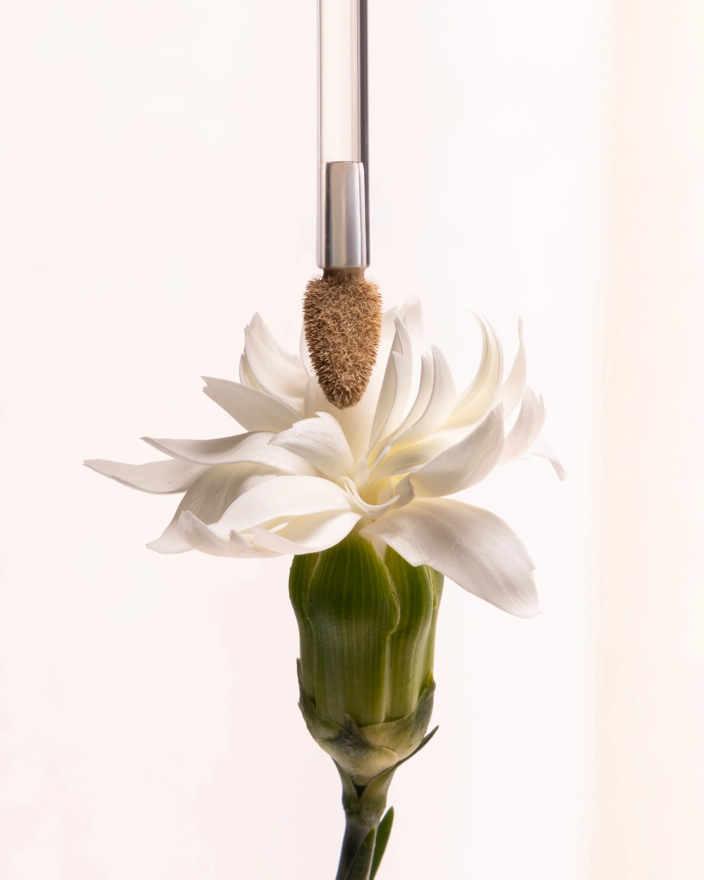 Jun 12 - Vegan Makeup Round Up-6781.JPG