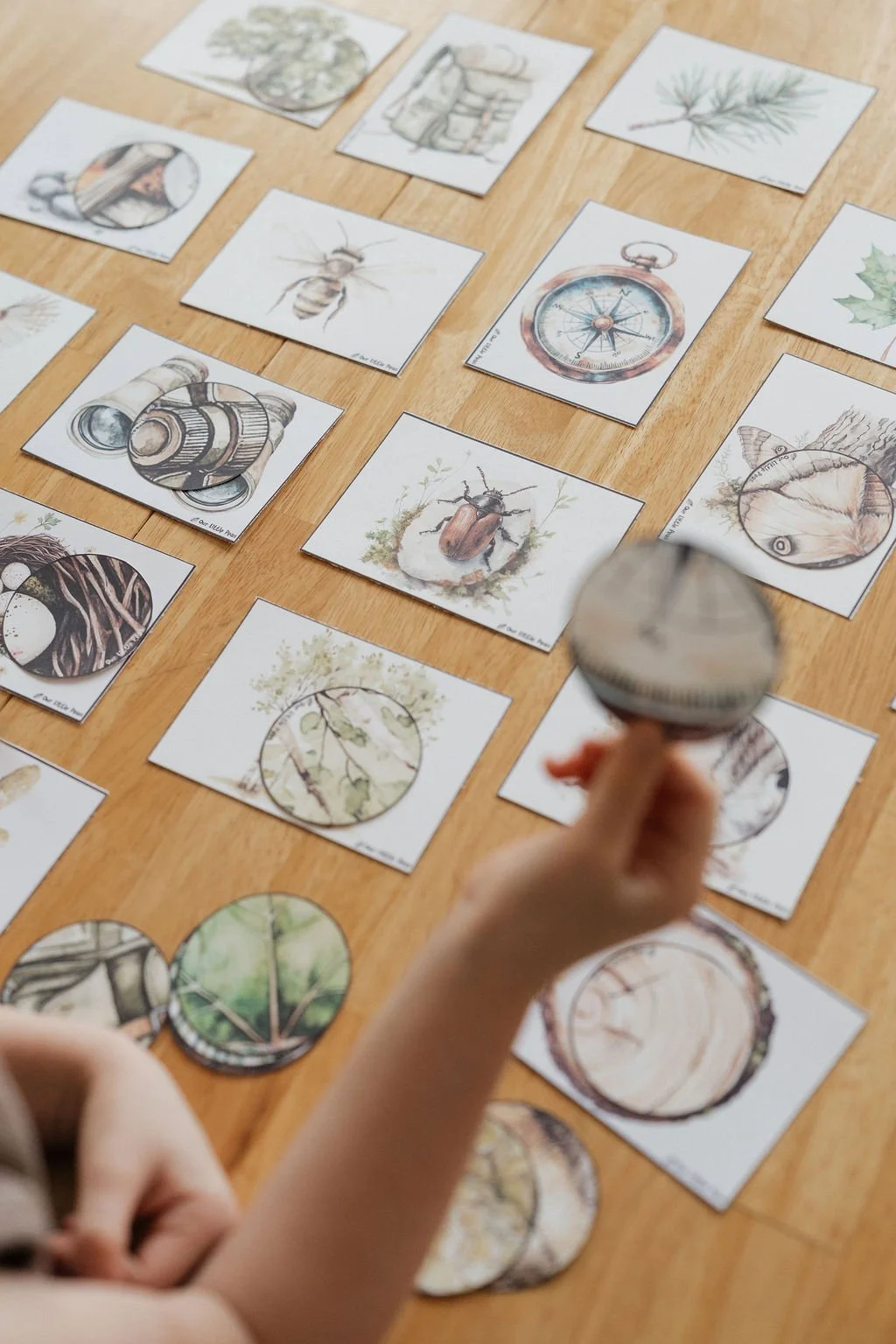 Why Themes Make Learning Stick