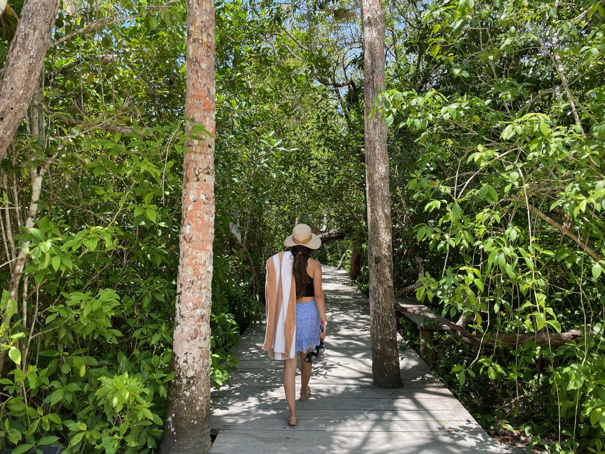 Woman walking on a wooden boardwalk through dense green mangrove trees, wearing a sunhat, a black top, blue skirt, and sandals.
