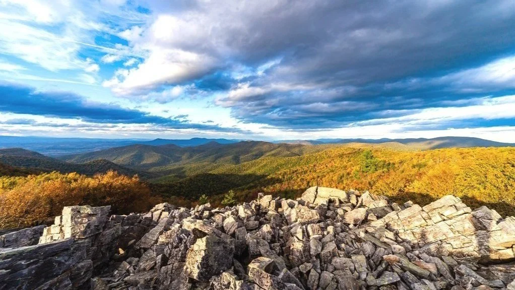 Unconventional Real Estate Selling Tactics You Can Use in Virginia