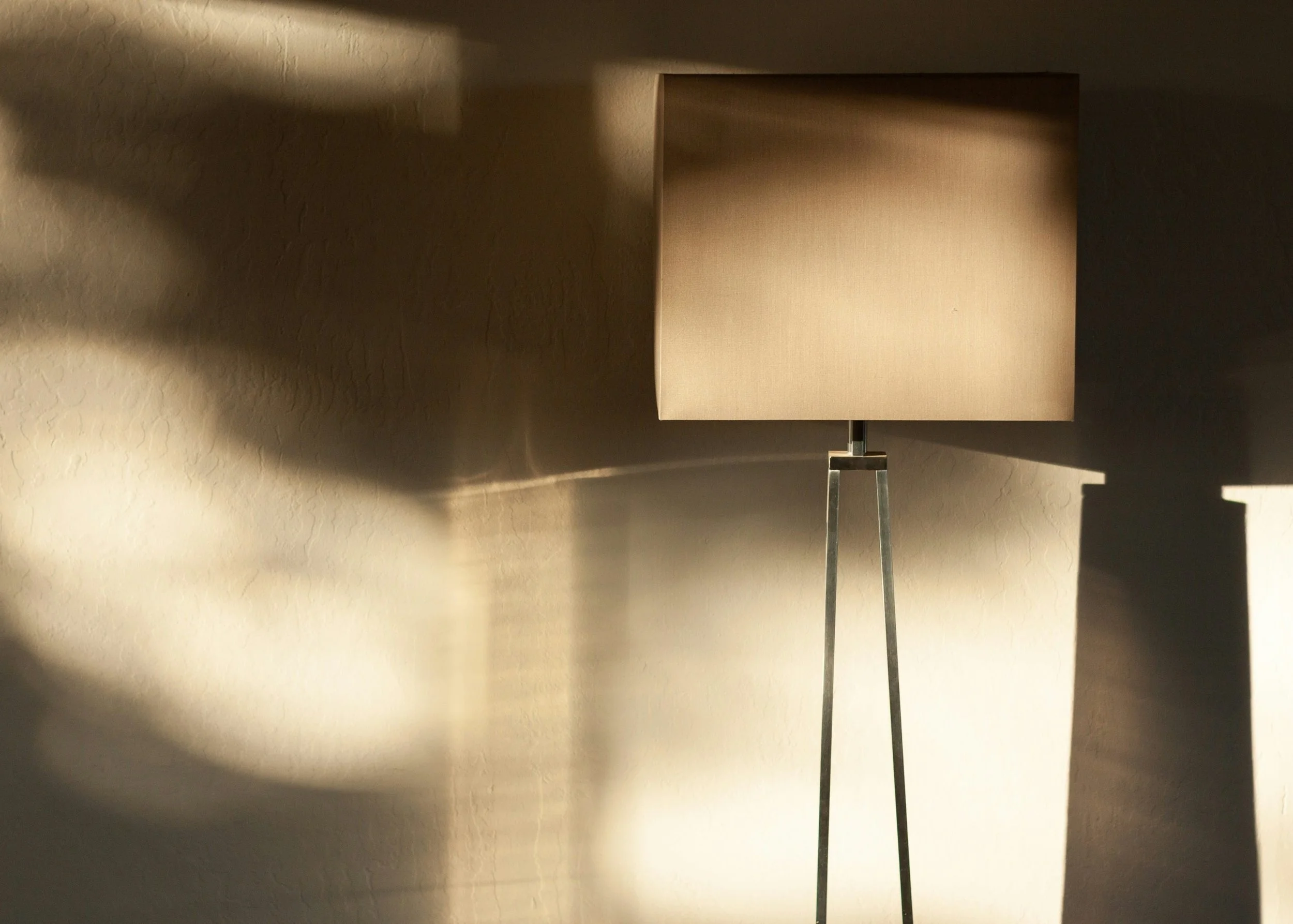 Soft lighting and shadow creating atmosphere within a calm bespoke interior environment