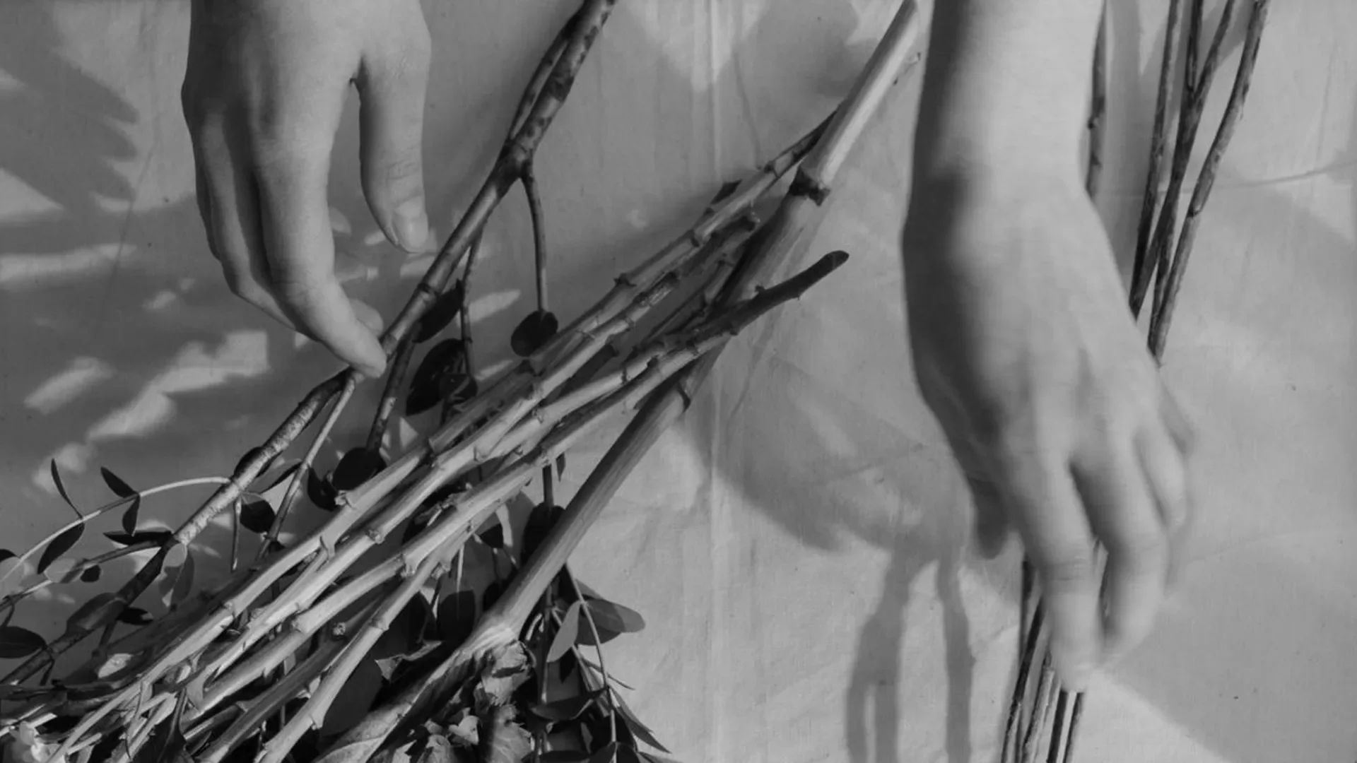 Residential interior styling example with curated furnishings and décor that reflect homeowners’ lifestyle.