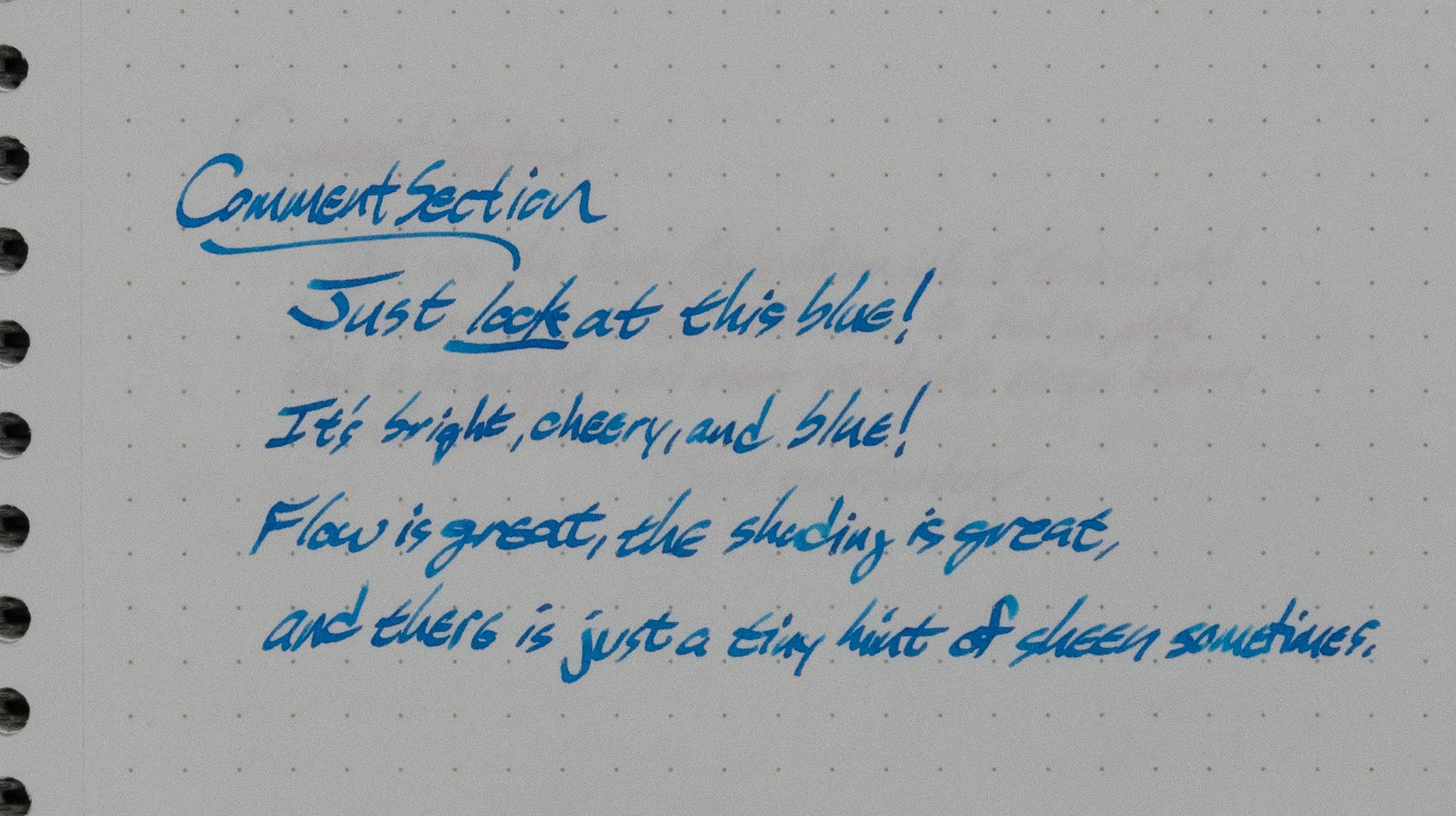 Anderillium Blue Ringed Octopus-4.jpg