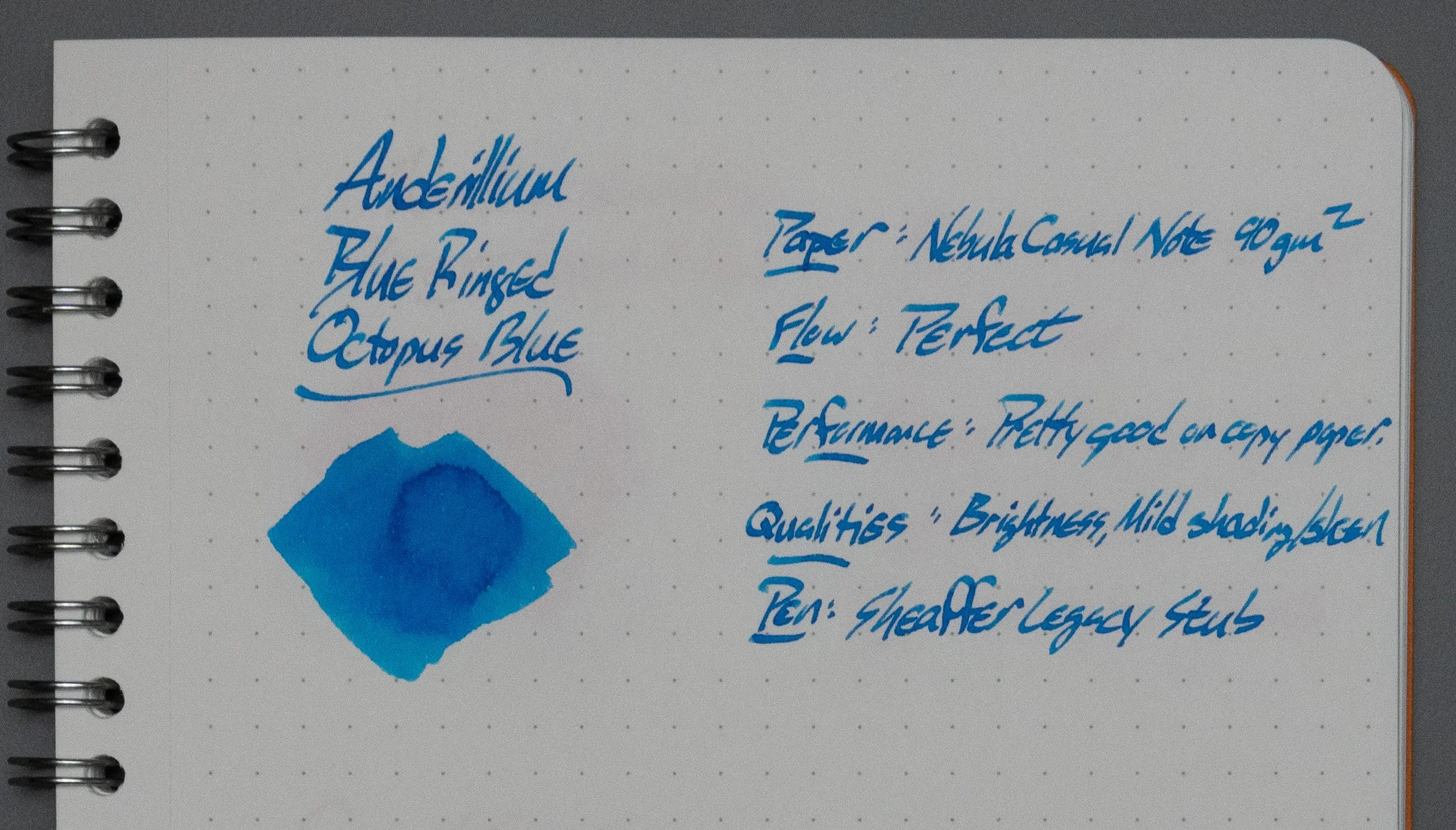 Anderillium Blue Ringed Octopus-3.jpg