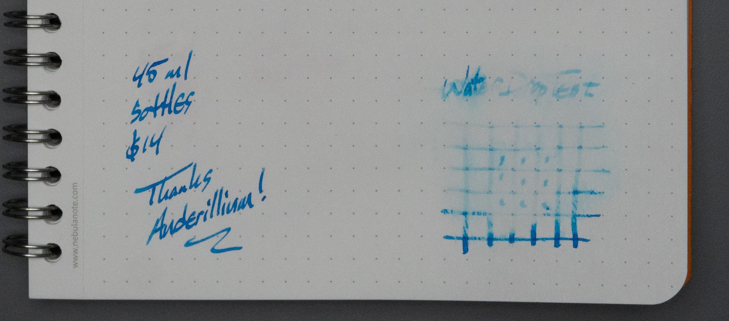 Anderillium Blue Ringed Octopus-5.jpg